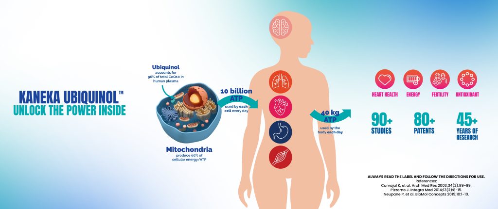 Ubiquinol for ATP production in the body