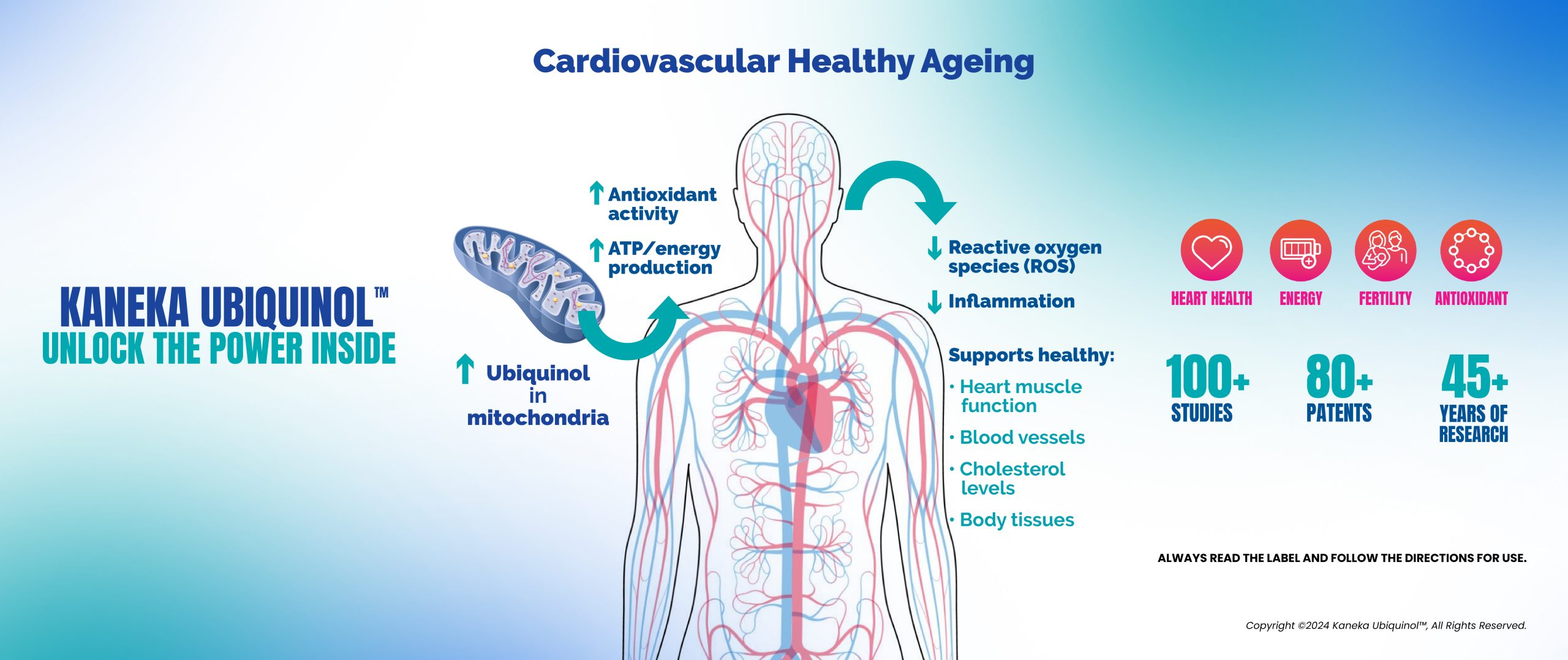 Cardiovascular healthy ageing with Ubiquinol