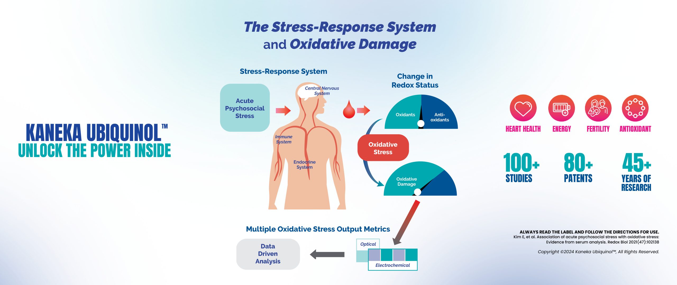 Stress Response and Oxidative Damage